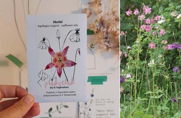 Met de zaden van Do It Yourselves kan het niet misgaan Met de zaden van Do It Yourselves kan het niet misgaan